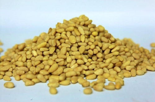 Pine Nut Kernel